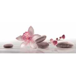 Fusion koan c inserto orchid  Декор