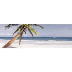 Groove beach a inserto  Декор